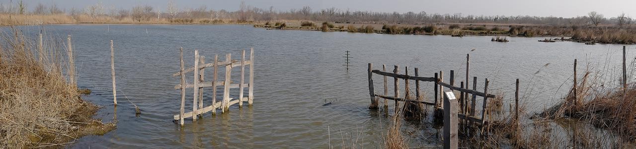 Pano Camargue.jpg